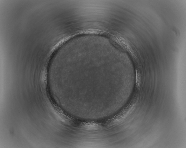 X0000110960348200907101332