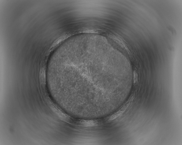 X0000110960349200907101332