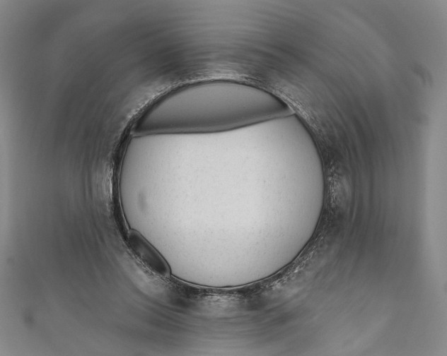 X0000110960350200907101332