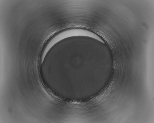 X0000110960352200907101332