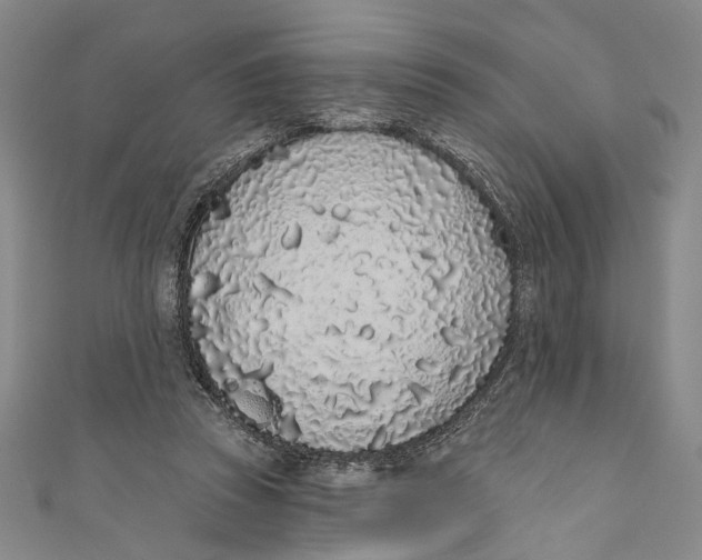 X0000110960353200907101332