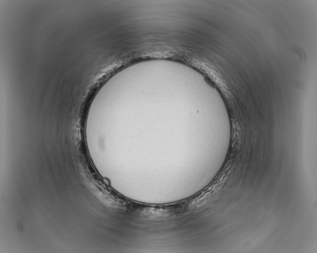 X0000110960354200907101332