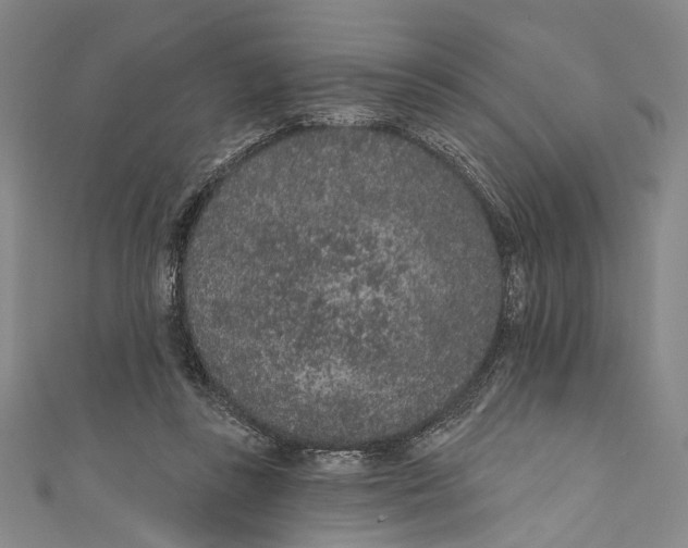 X0000110960355200907101332