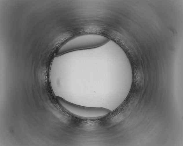 X0000110960356200907101332