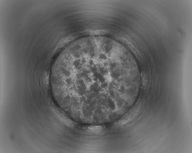 X0000110960357200907101332