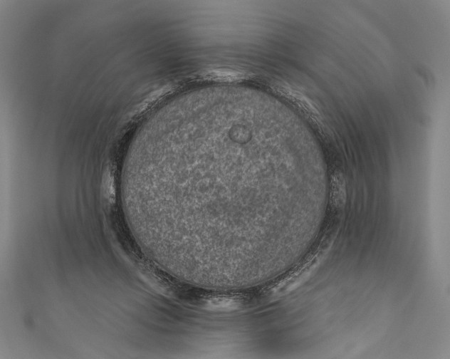 X0000110960358200907101332