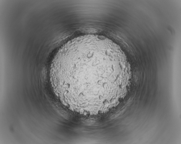 X0000110960359200907101332