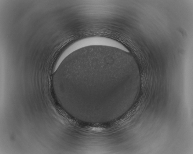 X0000110960360200907101332