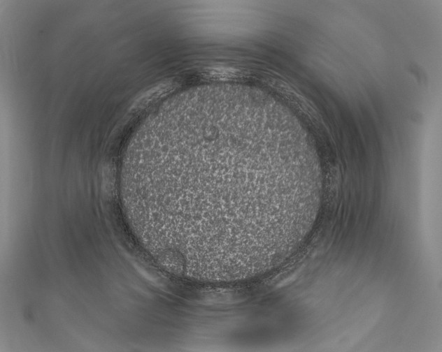 X0000110960361200907101332