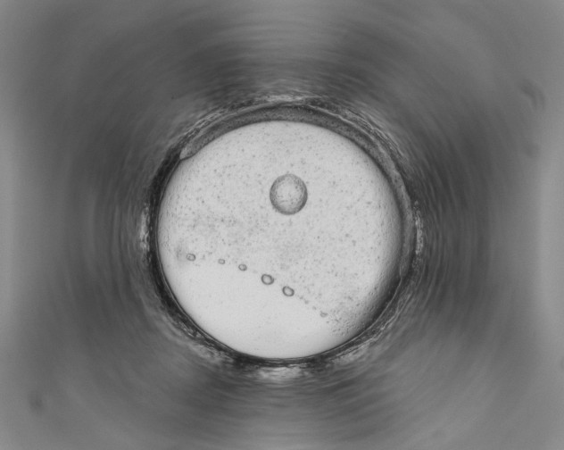 X0000110960362200907101332