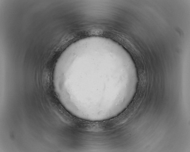 X0000110960363200907101332