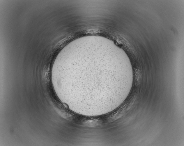 X0000110960364200907101332