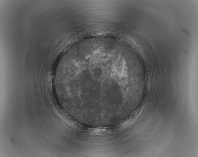 X0000110960366200907101333