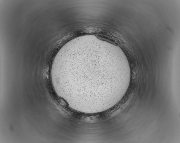 X0000110960368200907101333