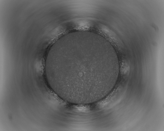 X0000110960370200907101333