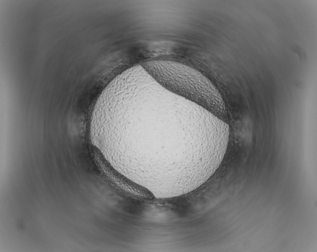 X0000110960372200907101333