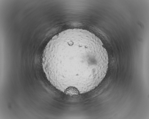 X0000110960373200907101333