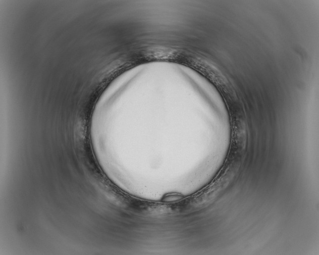 X0000110960374200907101333