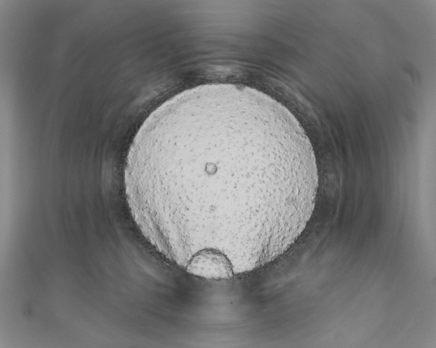 X0000110960375200907101333