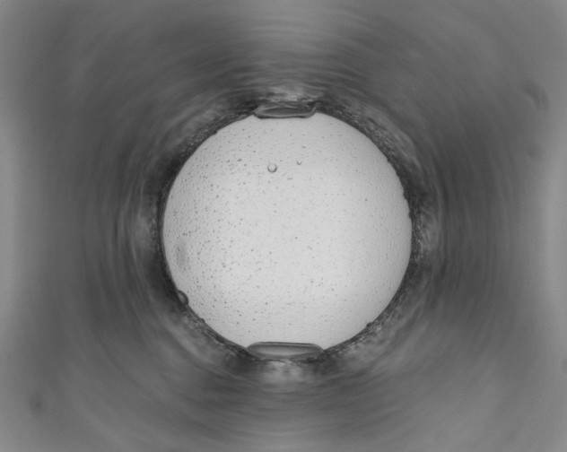 X0000110960376200907101333