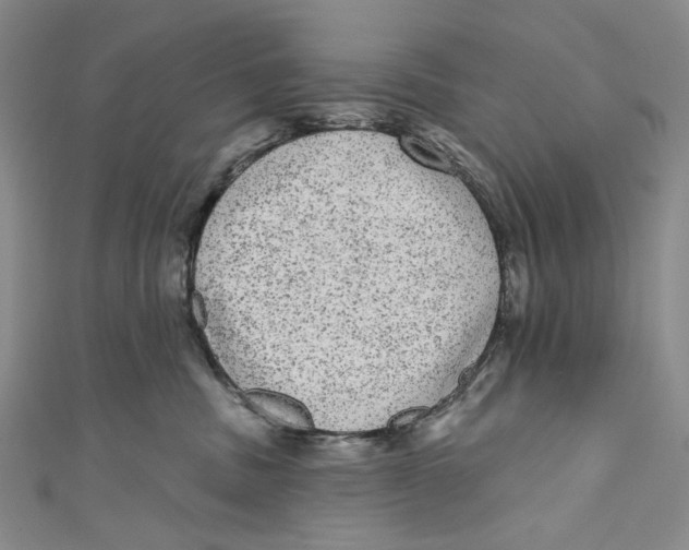 X0000110960379200907101333