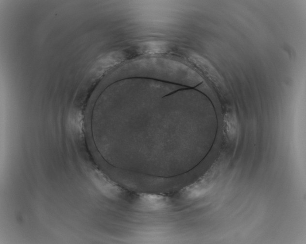 X0000110960380200907101333