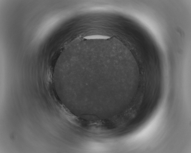 X0000110960382200907101333