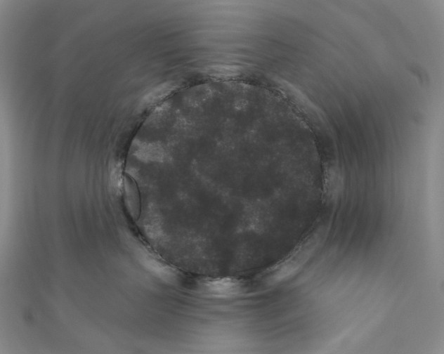 X0000110960383200907101333