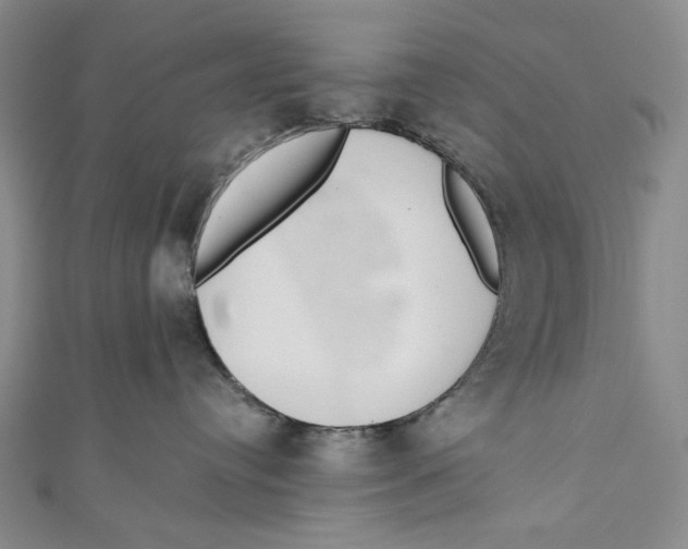 X0000110960384200907101333