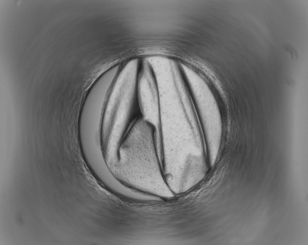 X0000110960385200907101332