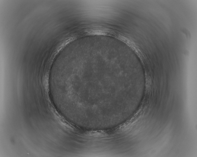 X0000110960386200907101332