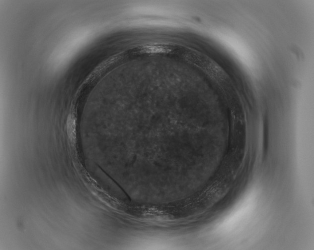 X0000110960387200907101332