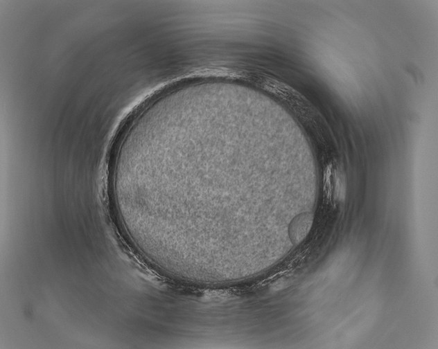 X0000110960388200907101332