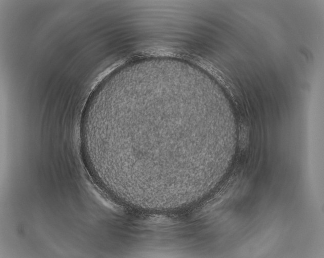 X0000110960390200907101332