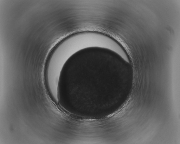 X0000110960391200907101332