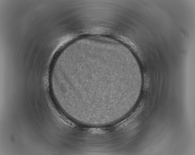 X0000110960392200907101332