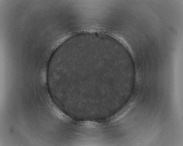 X0000110960393200907101332