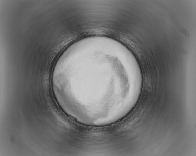 X0000110960394200907101332