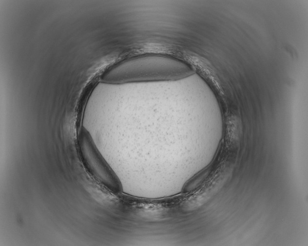 X0000110960395200907101332