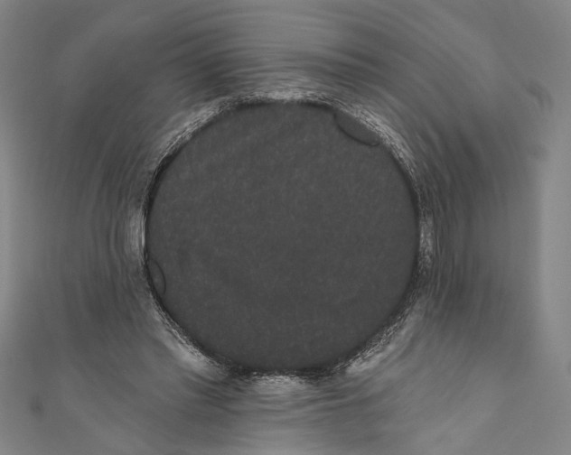 X0000110960397200907101332