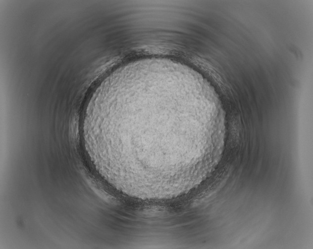 X0000110960398200907101332