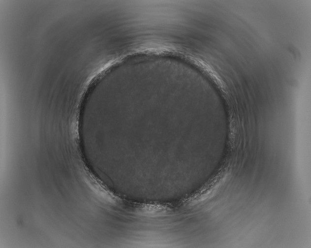 X0000110960399200907101332