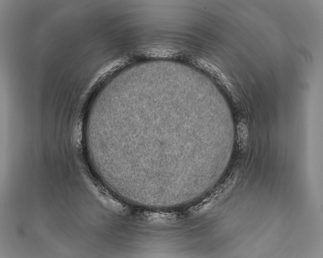 X0000110960400200907101332