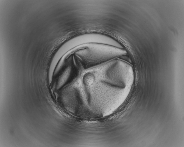 X0000110960401200907101332