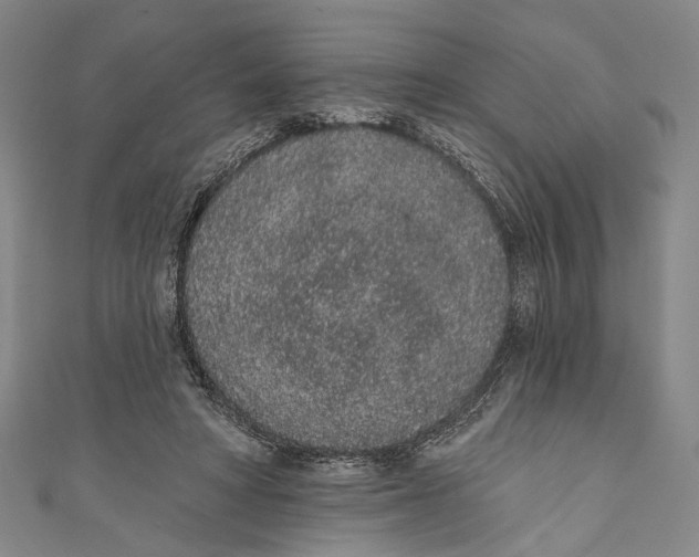 X0000110960402200907101332