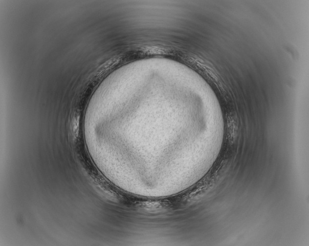 X0000110960406200907101332