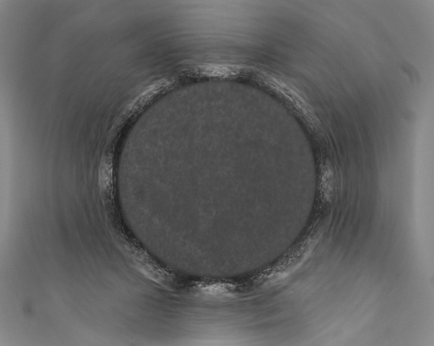 X0000110960407200907101332