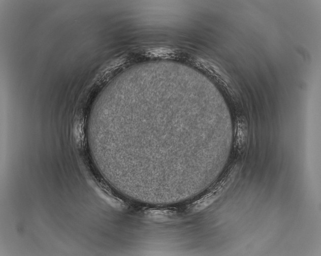 X0000110960408200907101332