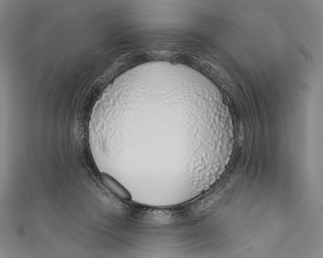 X0000110960409200907101332