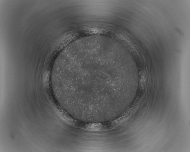 X0000110960410200907101332